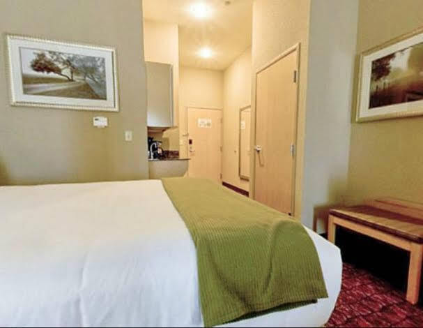 Holiday Inn Express Hotel And Suites Borger By Ihg Eksteriør bilde